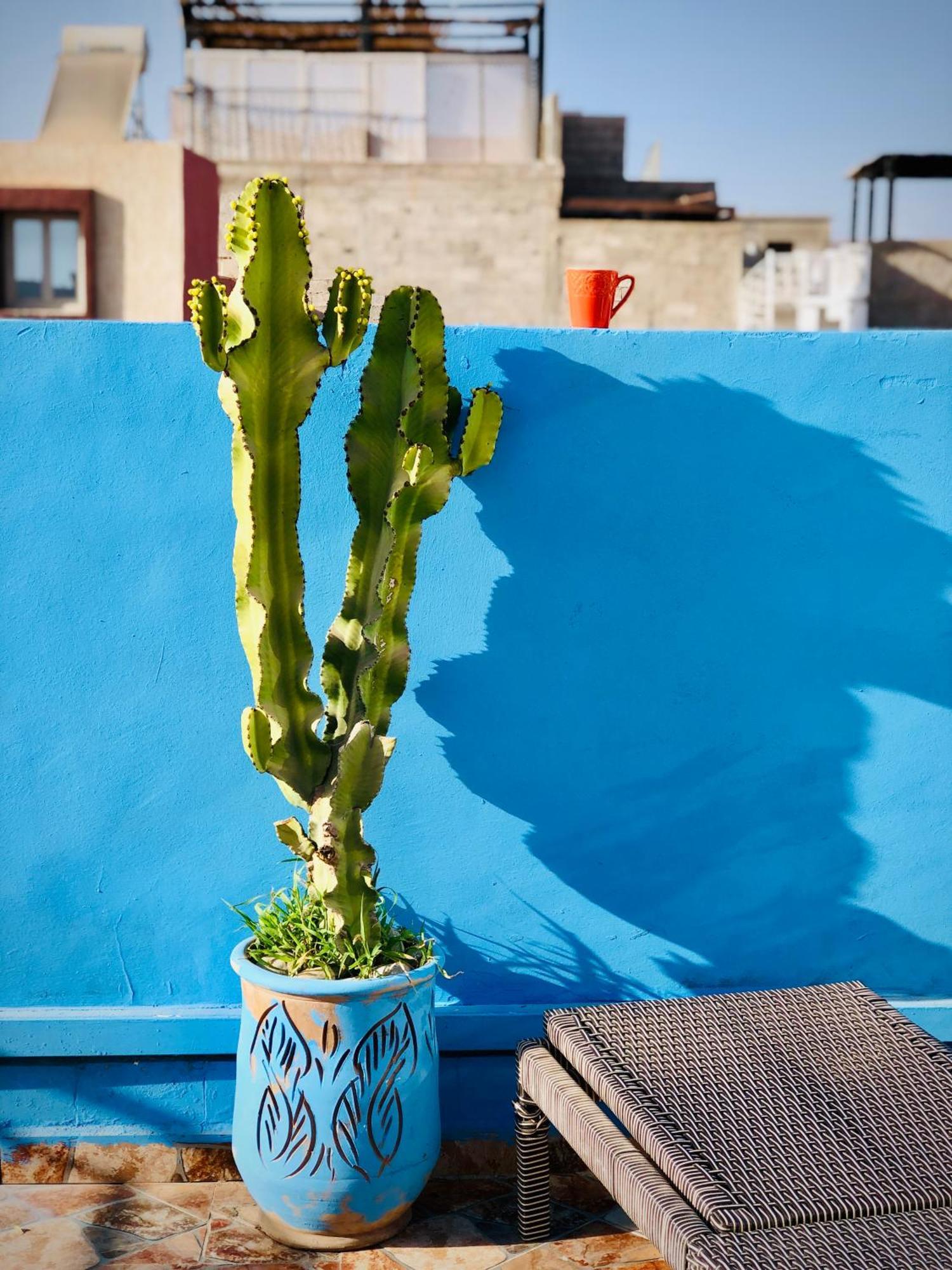 Moroccan Surf Journey Tamraght Exterior photo